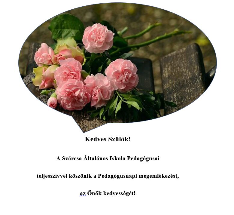 PEDAGÓGUSNAP