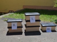 Családi nap