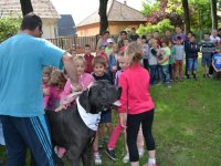 Madarak és fák napja