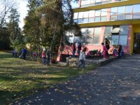 Kis "kertészeink"