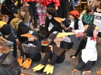 Farsang2016