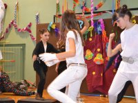 Farsang2016