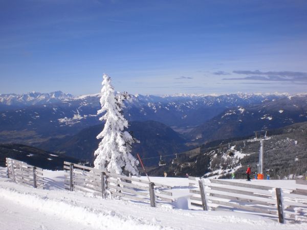 image005