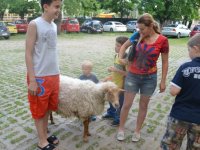 Júniális