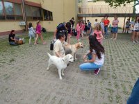 Madarak és fák napja