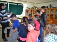 Állatok Világnapja