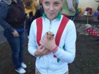 Kis állat bemutató